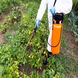  INSECTICIDES