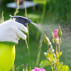  WEEDICIDES