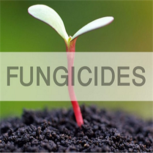  FUNGICIDES