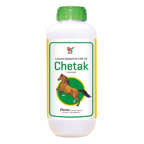 Text